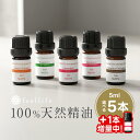 《プラスワン実施中》アロマオイル セット 精油 5ml × 5本+1本 セット シーンで選べる【エッセンシャルオイル ラベンダー レモングラス オレンジ ローズ ゼラニウム ベルガモット ローズウッド レモン アロマディフューザー アロマ 】送料無料