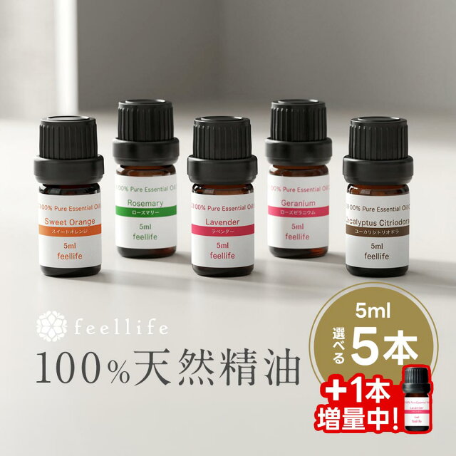 《プラスワン実施中》アロマオイル セット 精油 5ml × 5本+1本 セット シーンで選べる【エッセンシャルオイル ラベンダー レモングラス オレンジ ローズ ゼラニウム ベルガモット ローズウッド レモン アロマディフューザー アロマ 】送料無料
